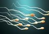 Il gran caldo mina anche la fertilità maschile