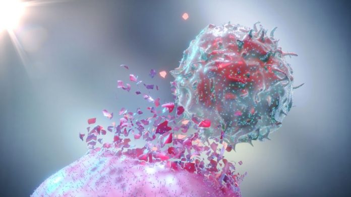 Tumori: immunoterapia sì, ma non è la bacchetta magica