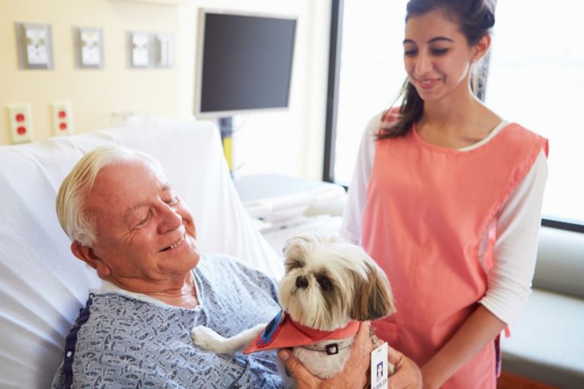 I Benefici Della Pet Therapy - Sanihelp.it