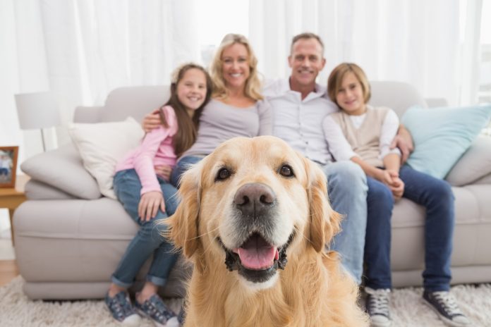cani e famiglia