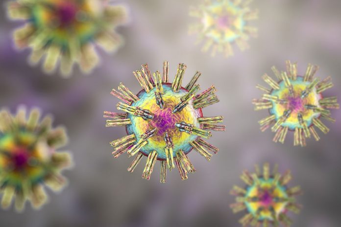 L'infezione da herpes virus nel gatto