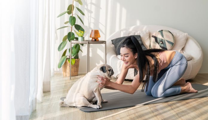 Pilates per gli animali