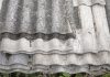 Tumori rari: il mesotelioma pleurico